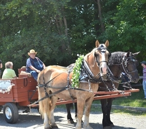 Horse-drawn hay/sleigh rides